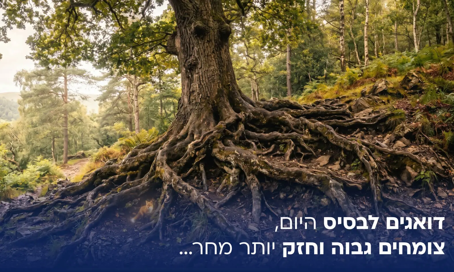 דואגים לבסיס היום,צומחים גבוה וחזק יותר מחר…